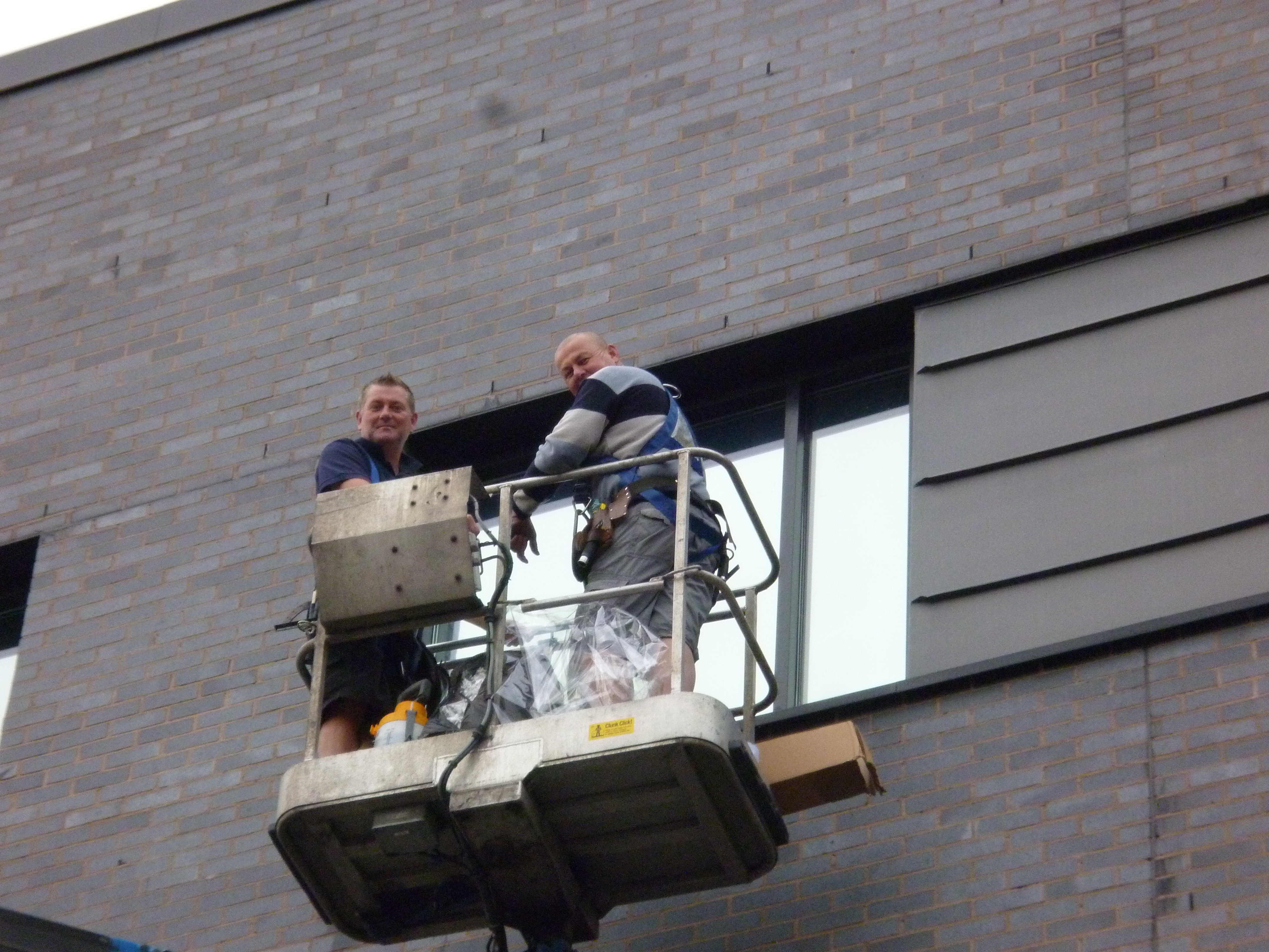 Sureguard Window Films