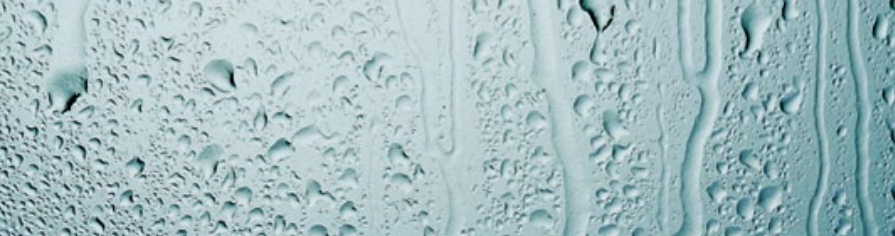 condensation - windows